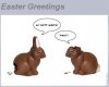 EasterBunnies.jpg