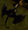 Black Dragon.gif