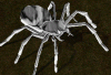 gelatinousspider.gif