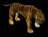 tigertextured1.jpg