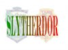 1107627628_slytherdor.jpg